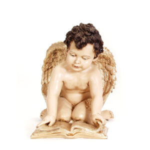 Anjo a Ler de Joelhos